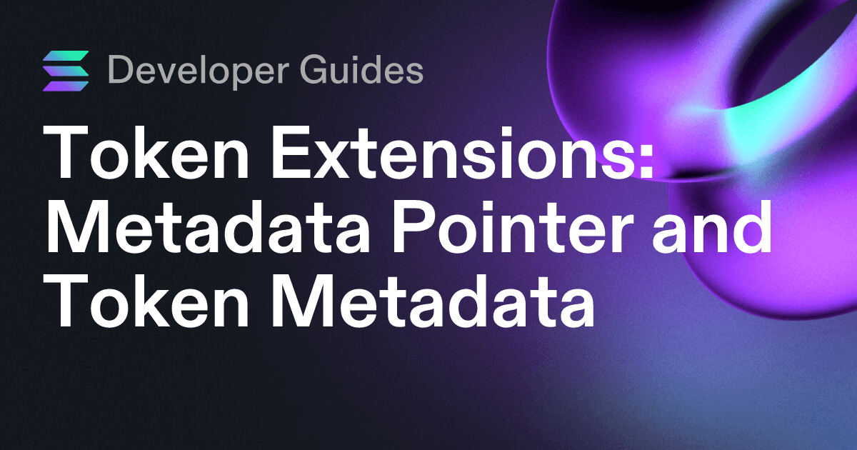 How to use the Metadata Pointer extension